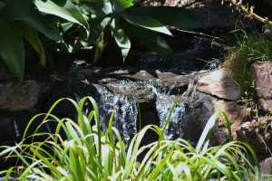 carrick hill 2014 (79)